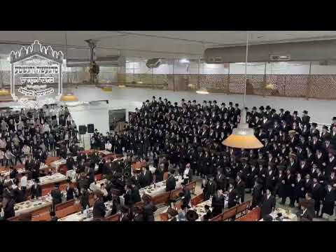 Machnovka Wedding - Kislev 5785