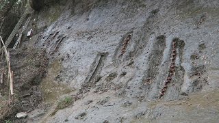 「チバニアン」認定目指す 文科相が７７万年前地層視察