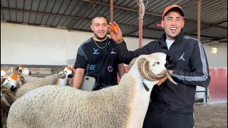 رشيد گيسر يضرب من جديد ويكشف حال السوق والفرق بين الواقع و المواقع 🇲🇦 عيد الأضحى 🐑 2026