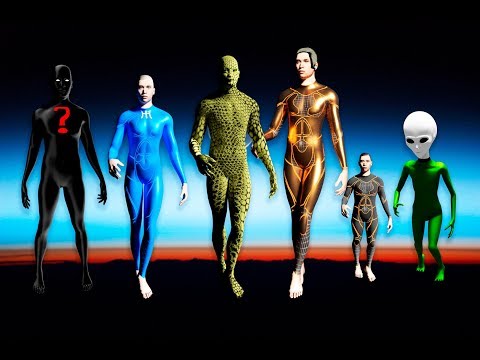 ¿Qué Razas Extraterrestres Visitan la Tierra?