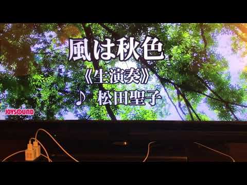 #聖子チャン#カラオケ　風は秋色　歌ってみた🎤　聖子チャン