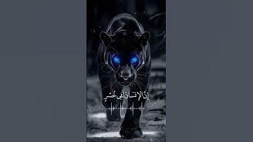 سورة العصر / والعصر إن الانسان لفي خسر #سورة_العصر #تلاوات #ارح_سمعك #قران_كريم #المصحف #قرآن