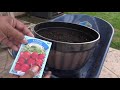 Testing Out DollarTree 25 Cent Vegetable Seeds! Sowing to First Sprouts!