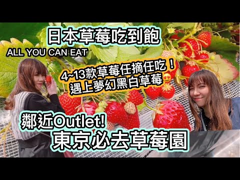 【日本草莓吃到飽】東京必去採草莓人氣地點｜夢幻黑白草莓等4~13款草莓任摘任吃｜Strawberry Picking Farm in Japan |ALL YOU CAN EAT|日本旅遊