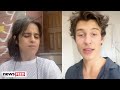 Camila Cabello TROLLS Shawn Mendes On TikTok!