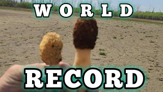 WORLD RECORD BREAKING MOREL MUSHROOM HUNT