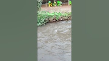 #egzonibrahimi #سورة_الإخلاص #ikhlas #المغرب #اكسبلور #visitermaroc #live #ترند #تصويري #لايك