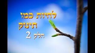 לחיות כמו תינוק (חלק 2)