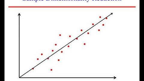 vector space distributional lexical semantics
