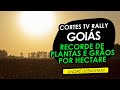 RECORDE DE PLANTAS E GRÃOS POR HECTARE EM GOIÁS