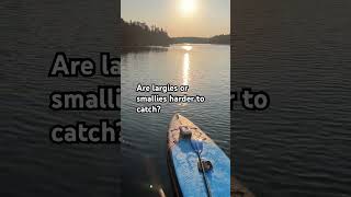 #fishing #fishingshorts #shorts #viral #manitobafishing #ontariofishing #huntfishmb #foryou #fyp