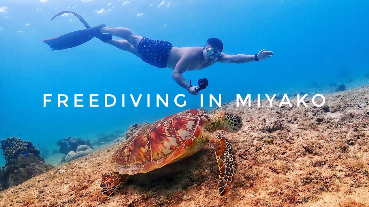 Freediving Miyakojima, Okinawa Japan ดำน้ำ ดำน้ำฟรีไดฟ์ フリーダイビング