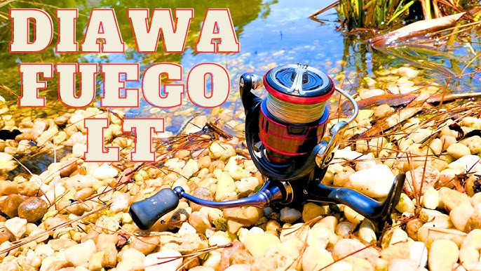 Using Smaller Reels (Daiwa Ballistic LT 1000)! 