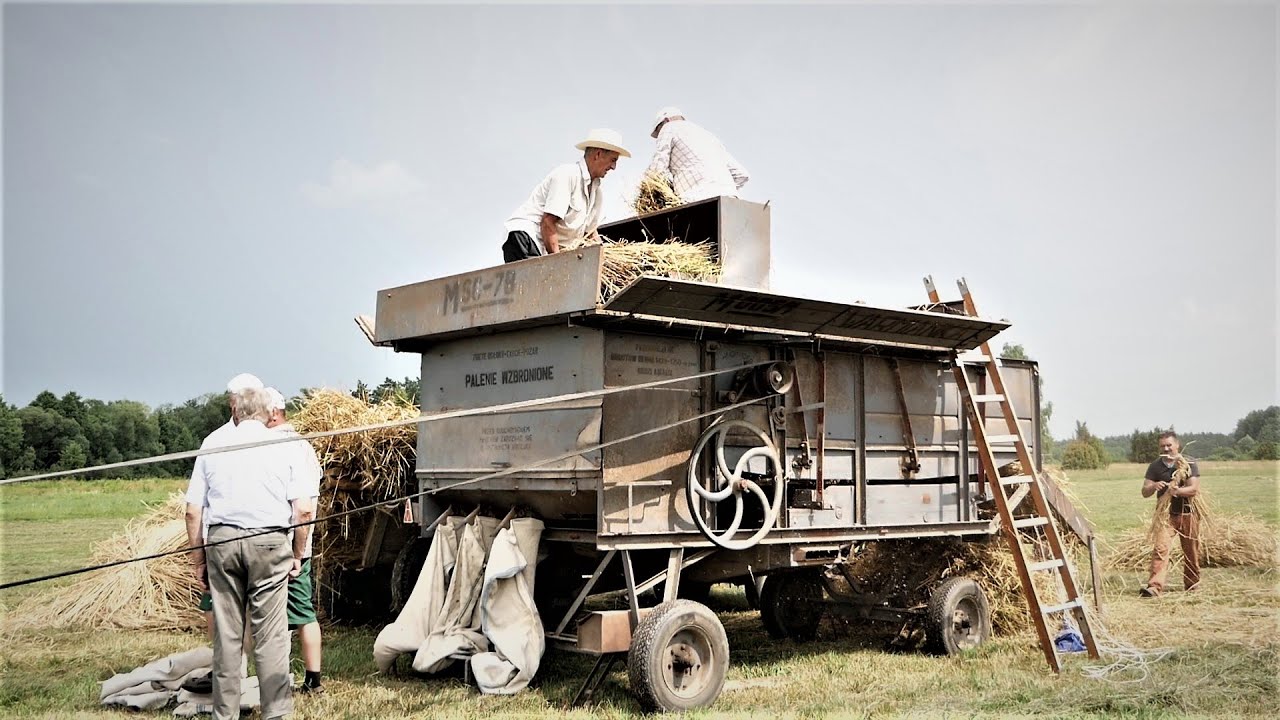 Żniwa w STARYM STYLU | Koszenie sierpem, kosą i snopowiązałką | Zażynki 2021