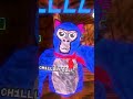 fan code!!! #gorillatag #gorillatagquest #gtag #vr #gorilla #gorillatagvr #oculus #monke