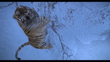 『タイガー・マウンテン 雪原の死闘』予告編