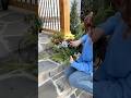 Santa Sleigh Greenery arrangement