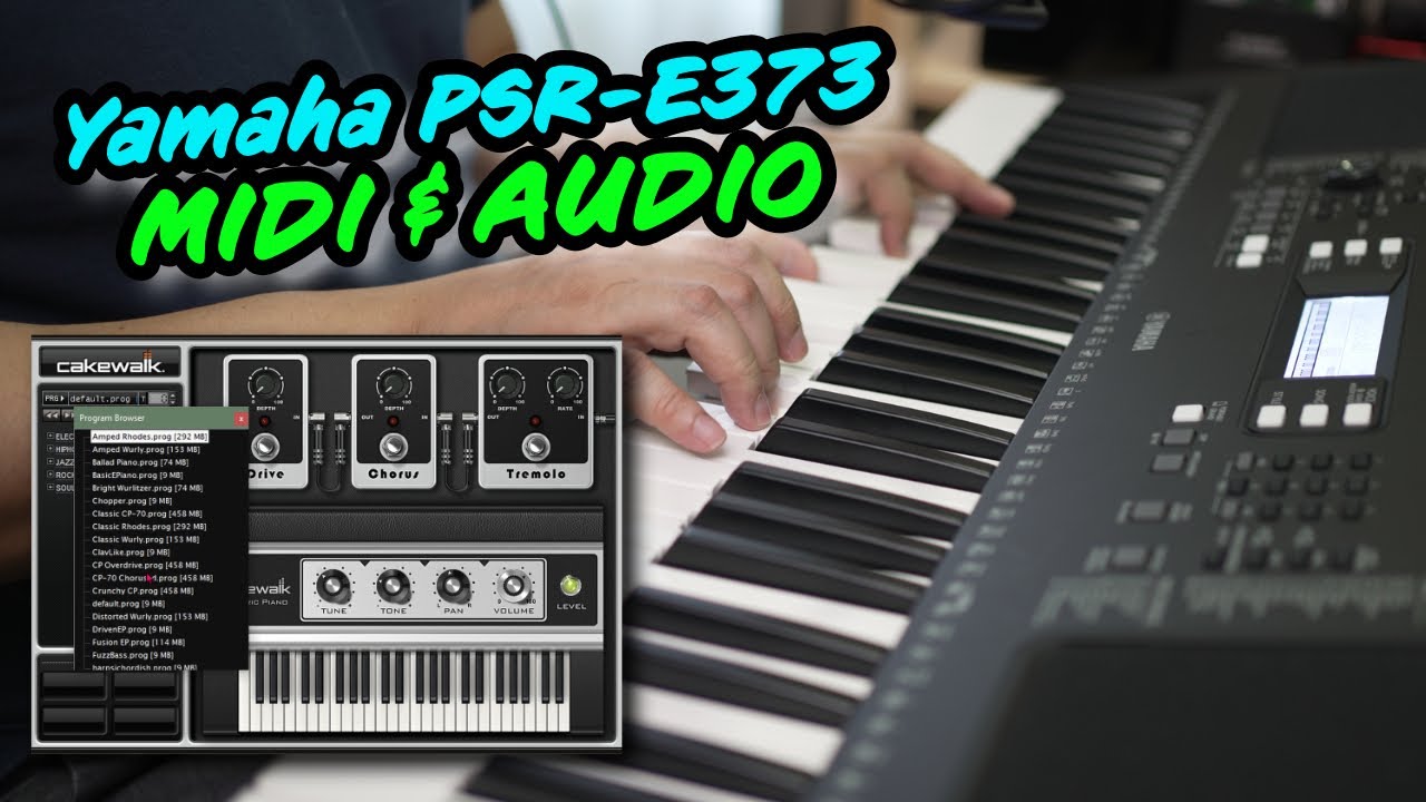Yamaha PSR E373 Enregistrement de morceaux MIDI et audio avec DAW gratuit Yamaha EZ300  PSR EW310