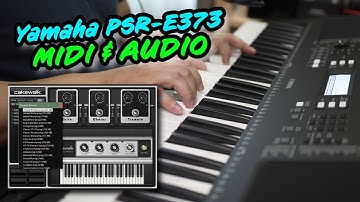 Yamaha PSR-E383 MIDI & Audio Song Record with Free DAW (Yamaha EZ310 / PSR-EW320)