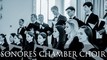 Kyrylo STETSENKO «Cherubic Hymn» | SONORES CHOIR