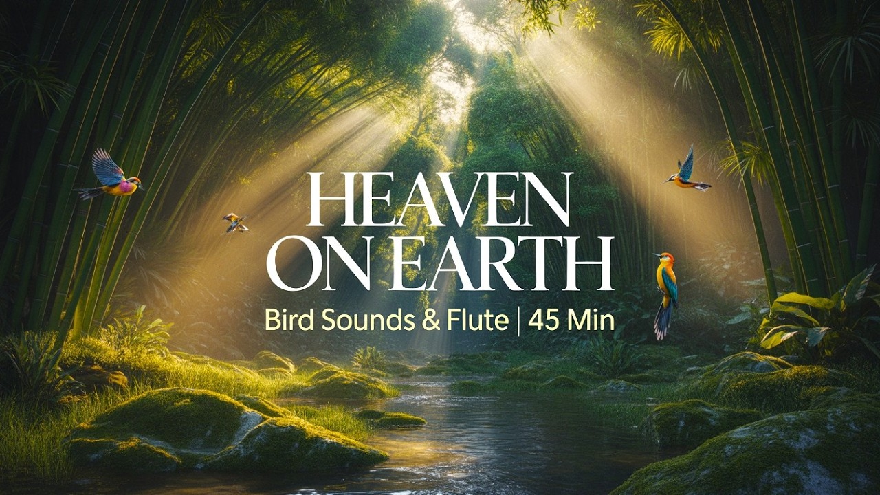 HEAVEN ON EARTH 🌿 45 Min Bamboo Flute & Bird Sounds | Stress Relief & Background Music