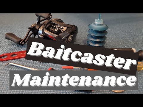 bass lures for connecticut The Best Bass Baits for Every Season