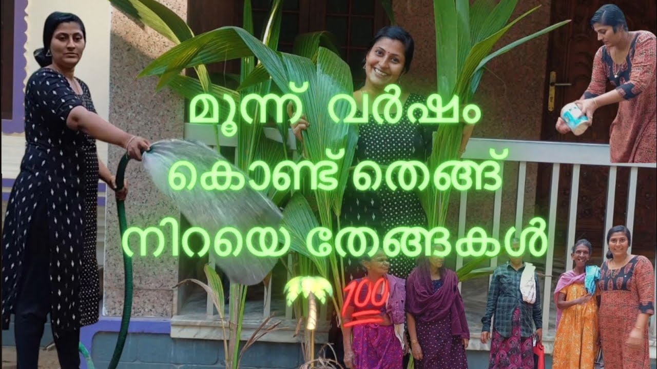 മൂന്നു വർഷം കൊണ്ട് ഒരു തെങ്ങു നിറയെ തേങ്ങകൾ ഉണ്ടാവാനുള്ള techniques 🌴🌴😍😍