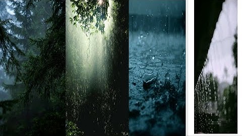 Beautiful rain Nature Video and rain whatsapp status Beautiful nature whatsApp status