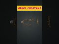 Special Merry Christmas Equation #christmas #merrychristmas #maths #equation #simplifying #algebra
