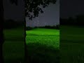 Beautiful Star Night View ❤️ Nature pianomusic Deep sleep #nightview #nature #deepsleep #shorts