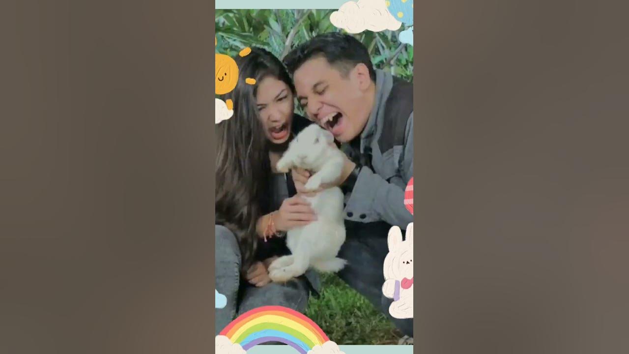 Ggs Versi Tristan and Nayla [Ganteng Ganteng Serigala]♡