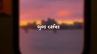 Video thumbnail of "cyluz - ojos cafes (letra)"