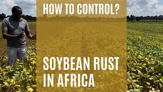 Soybean Rust in Africa - How to control