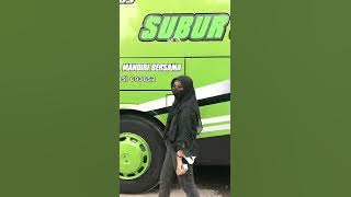 STORY WA BUS SUBUR JAYA X PARGORY TERBARU 2022 ~|~🚌🚌