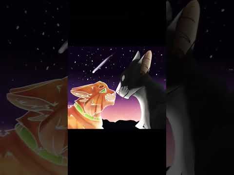 коты воители Джейк❤️‍🔥