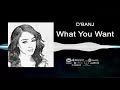 D Banj What You Want Official Audio mp3