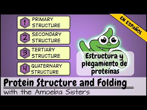 Video: ¿La entropía conformacional está relacionada con el plegamiento de proteínas?