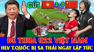 Để thua U22 Việt Nam tại Pandacup , HLV Trung Quốc sẽ bị sa thải ngay lập tức