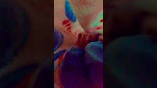 whe o2goe vd gs sf scef sg dg sg wf eg ef wf