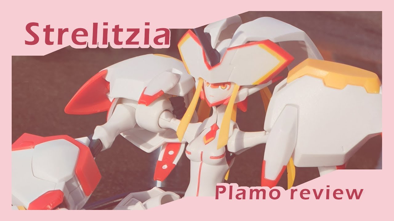Plamo Review: Strelitzia