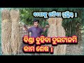    my fathervillage farmer daily vlog gareeb rn vlogs 