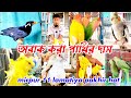 অবাক করা পাখির দাম || মিরপুর ১১ লালমাটিয়া পাখির হাট || lalmatiya pakhir hat || pakhir hat 