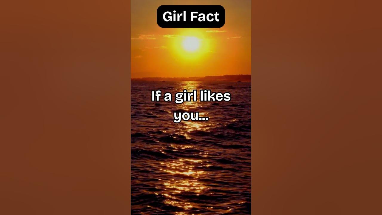 Mind Blowing Halococo Facts You Need To Know - cvaonwo