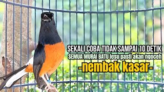 PANCINGAN murai batu FIGHTER GACOR melatih bongkar materi, Jadikan burung ikut bunyi pasti ngamuk