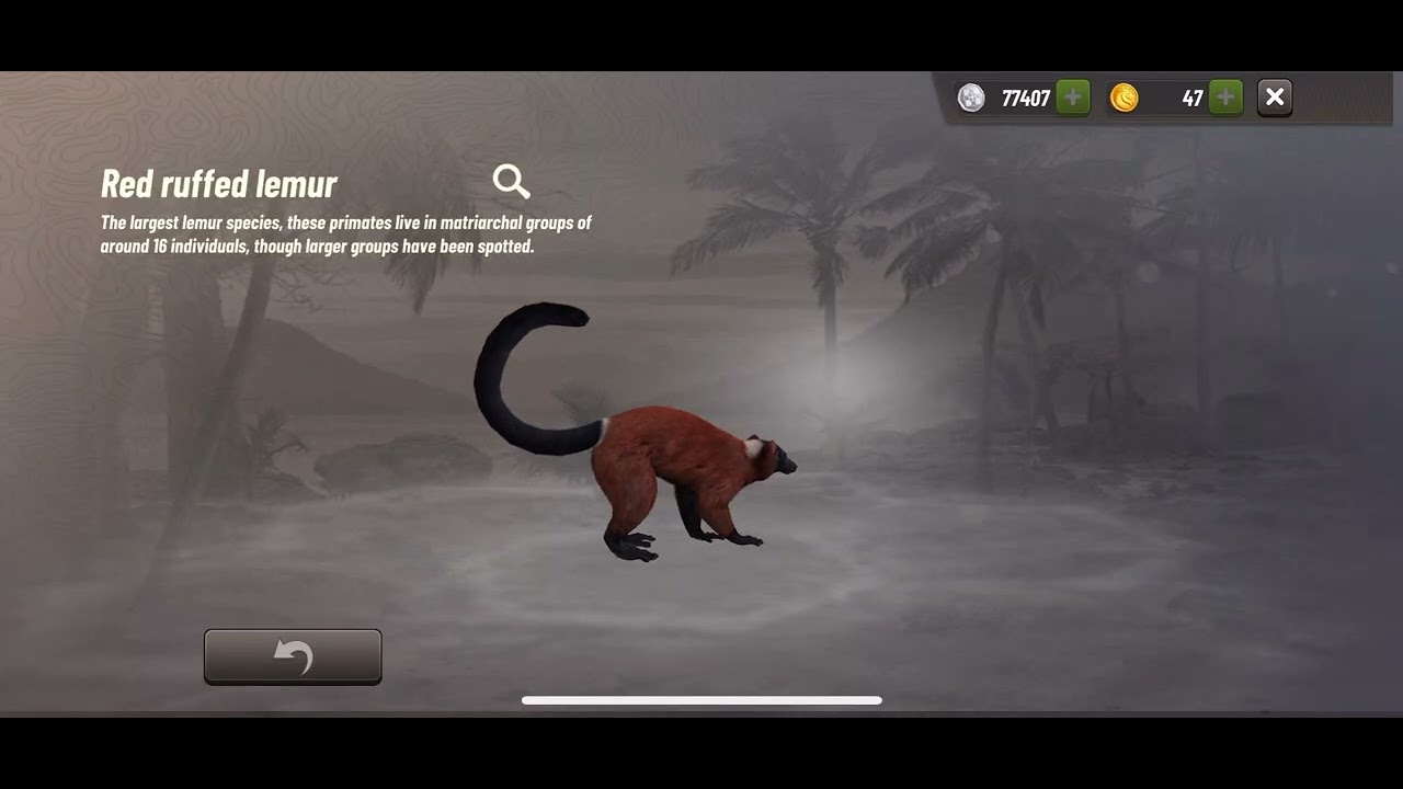 Hunting Clash:Hunting Every Animal In Madagascar Location