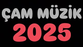 Hüseyin Çam - 2025 Halay 1