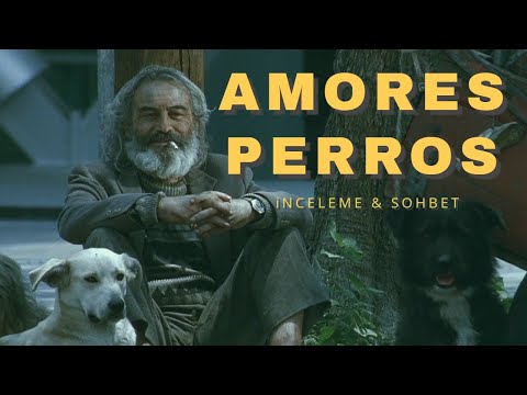 Amores Perros - Paramparça Aşklar ve Köpekler