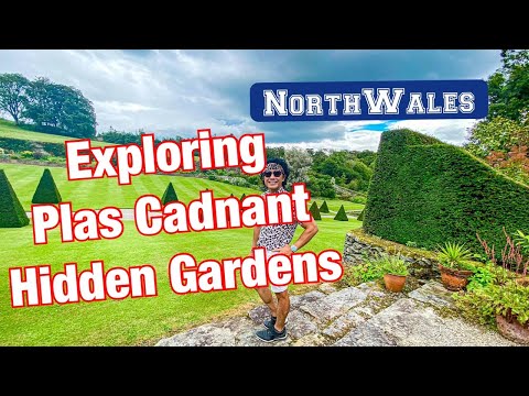 Video: „Lush Hidden Gardens“pastabos - „Matador“tinklas