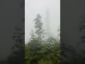 Bulutların Arasında Yolculuk #rize #shortsvideo #travelvlog
