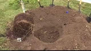 New Brownsville Park Honors 3 Children Killed in 2003